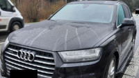audi pčr